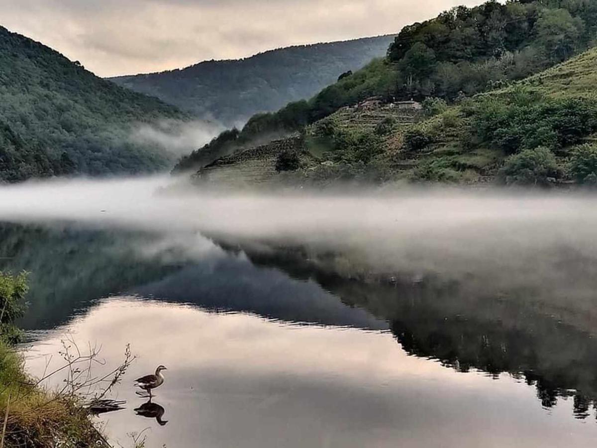 Casa Das Xacias Ribeira Sacra A Airoa  Eksteriør billede