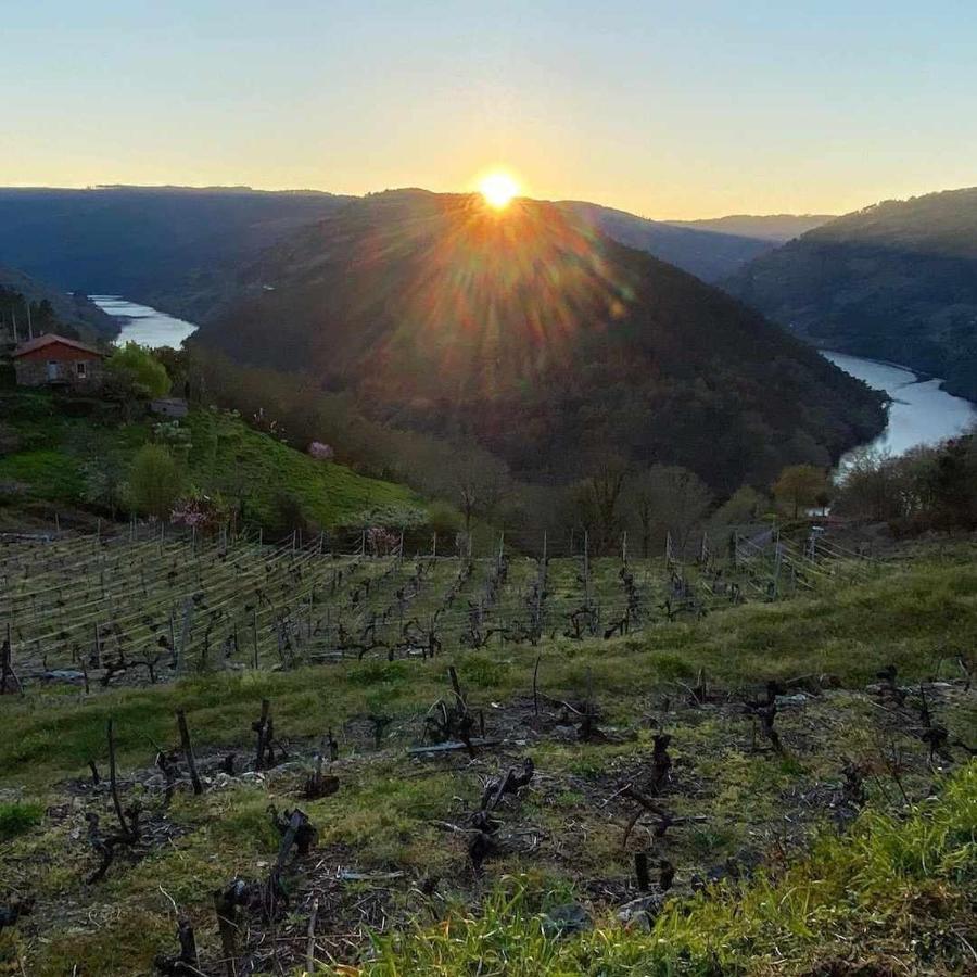 Casa Das Xacias Ribeira Sacra A Airoa  Eksteriør billede