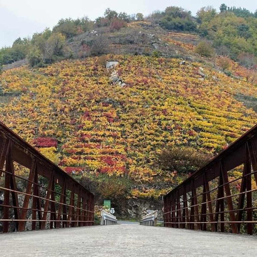 Casa Das Xacias Ribeira Sacra A Airoa  Eksteriør billede